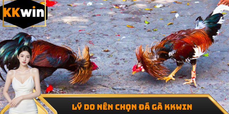 Chuyên mục có vô số ưu điểm chinh phục người chơi
